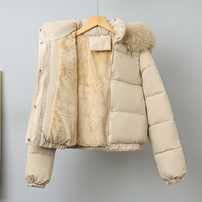 Parka Pendek Musim Dingin Paka - Wool Coat Peacoat ulasan dan harga